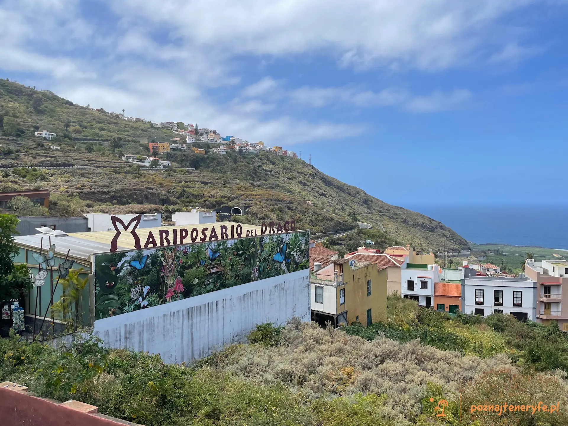 Mariposario del Drago