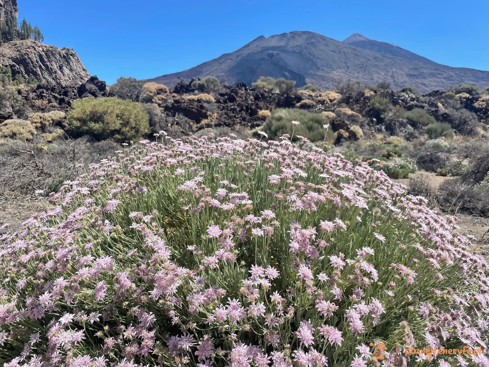 Parque Nacional del Teide
