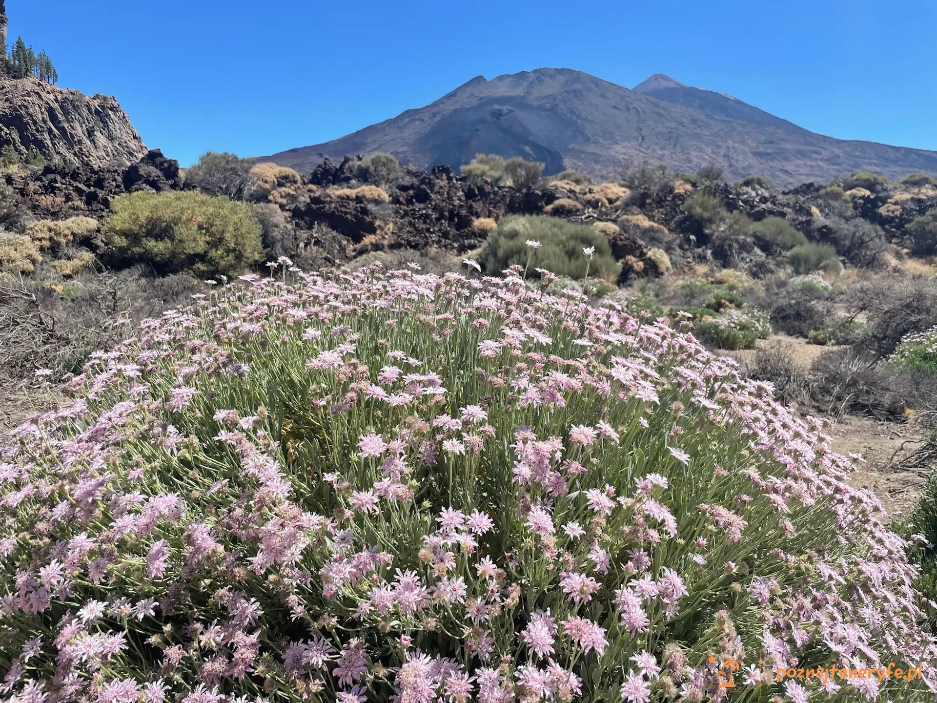 Parque Nacional del Teide