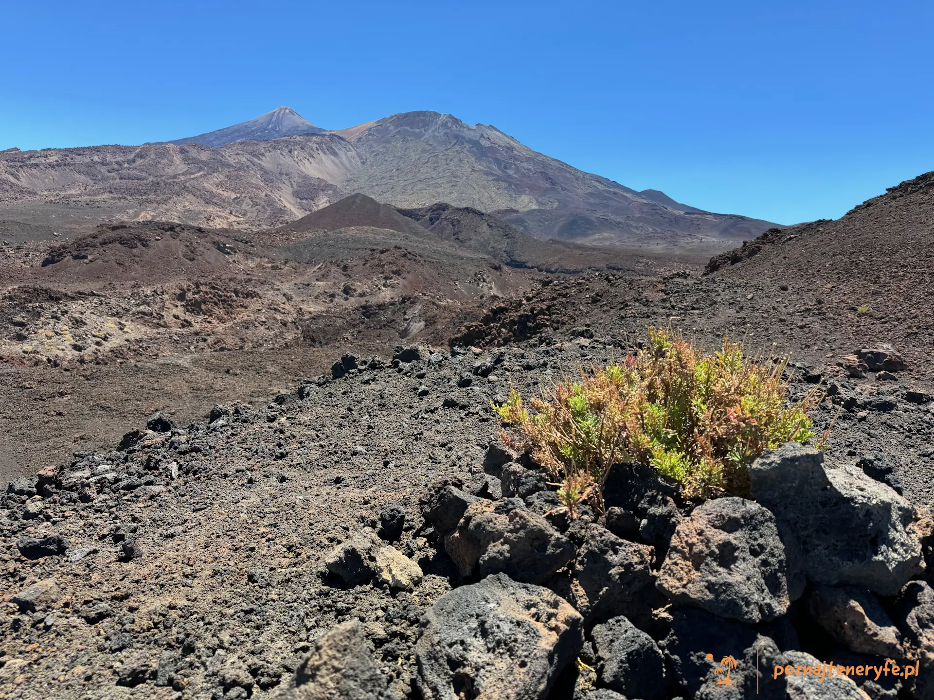 Parque Nacional del Teide
