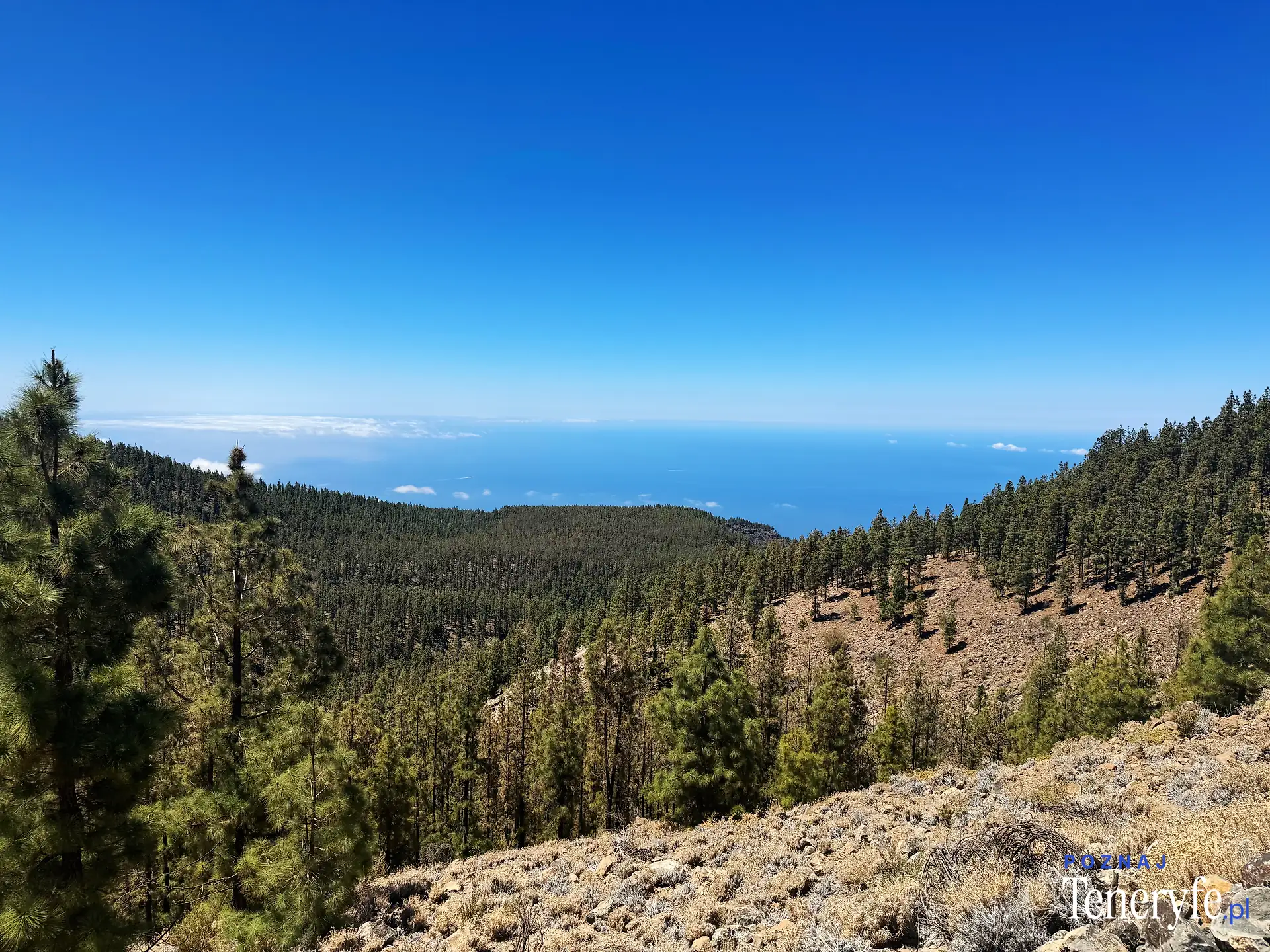 Parque Nacional del Teide