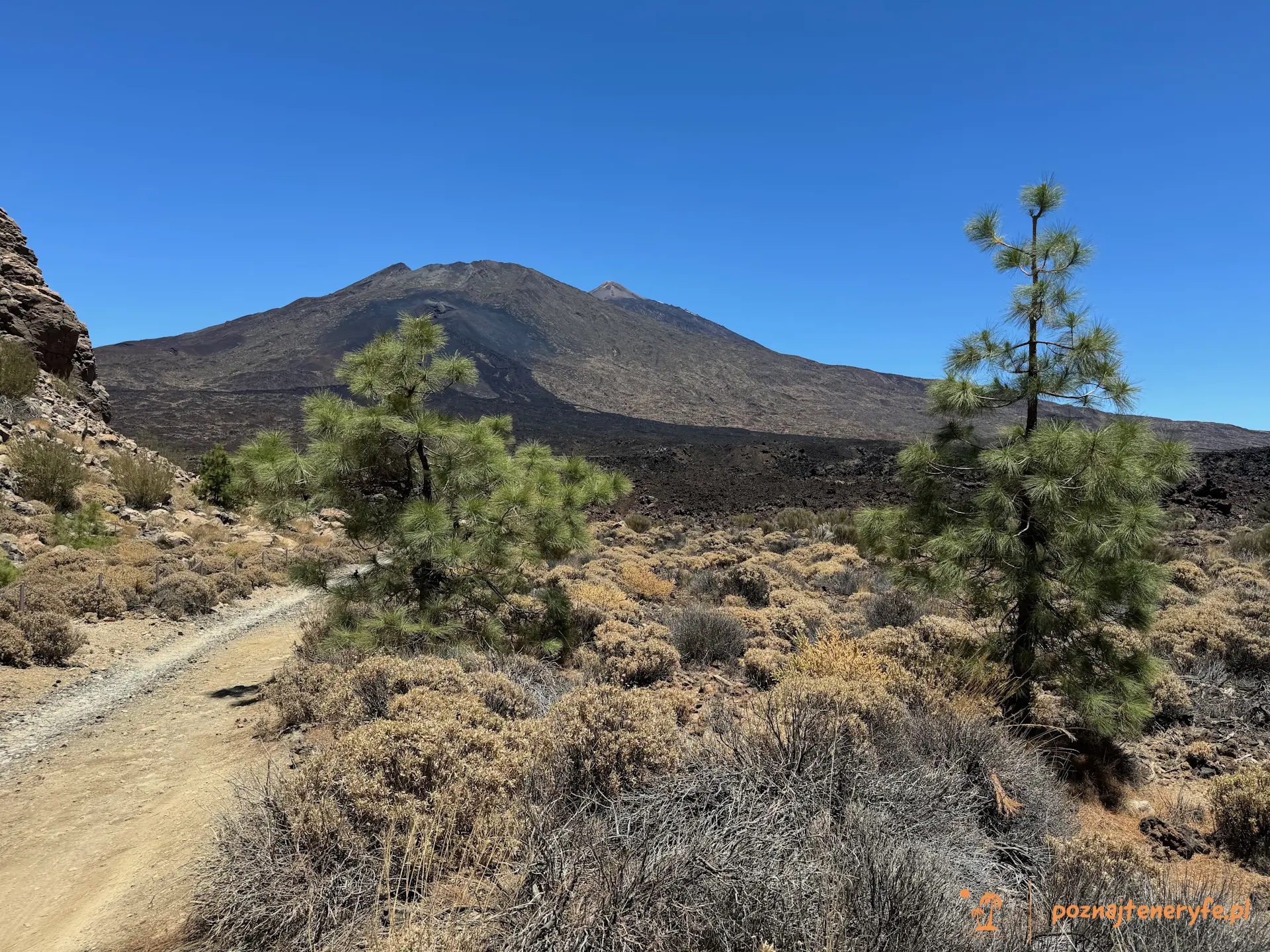 Parque Nacional del Teide