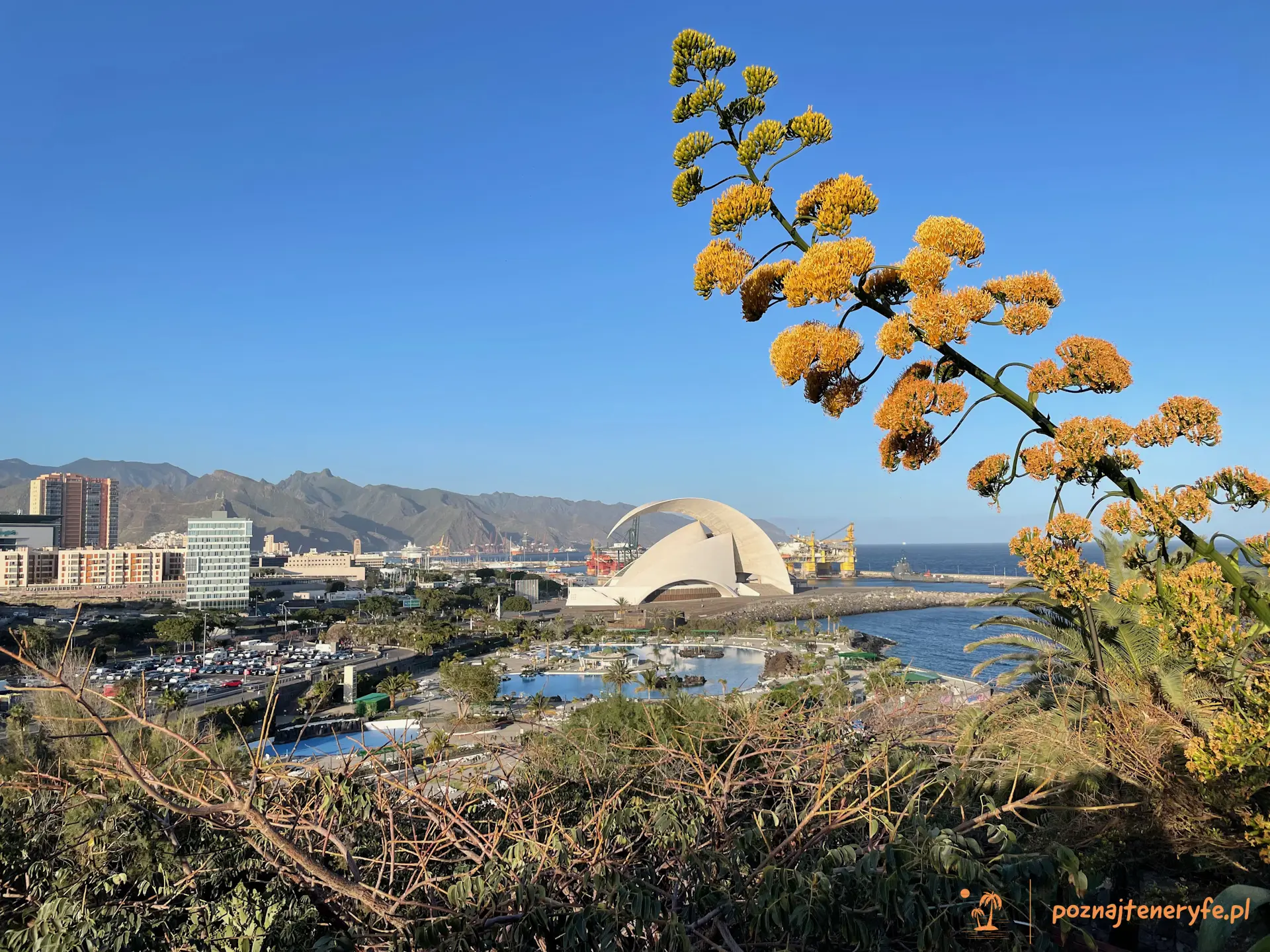 Santa Cruz de Tenerife