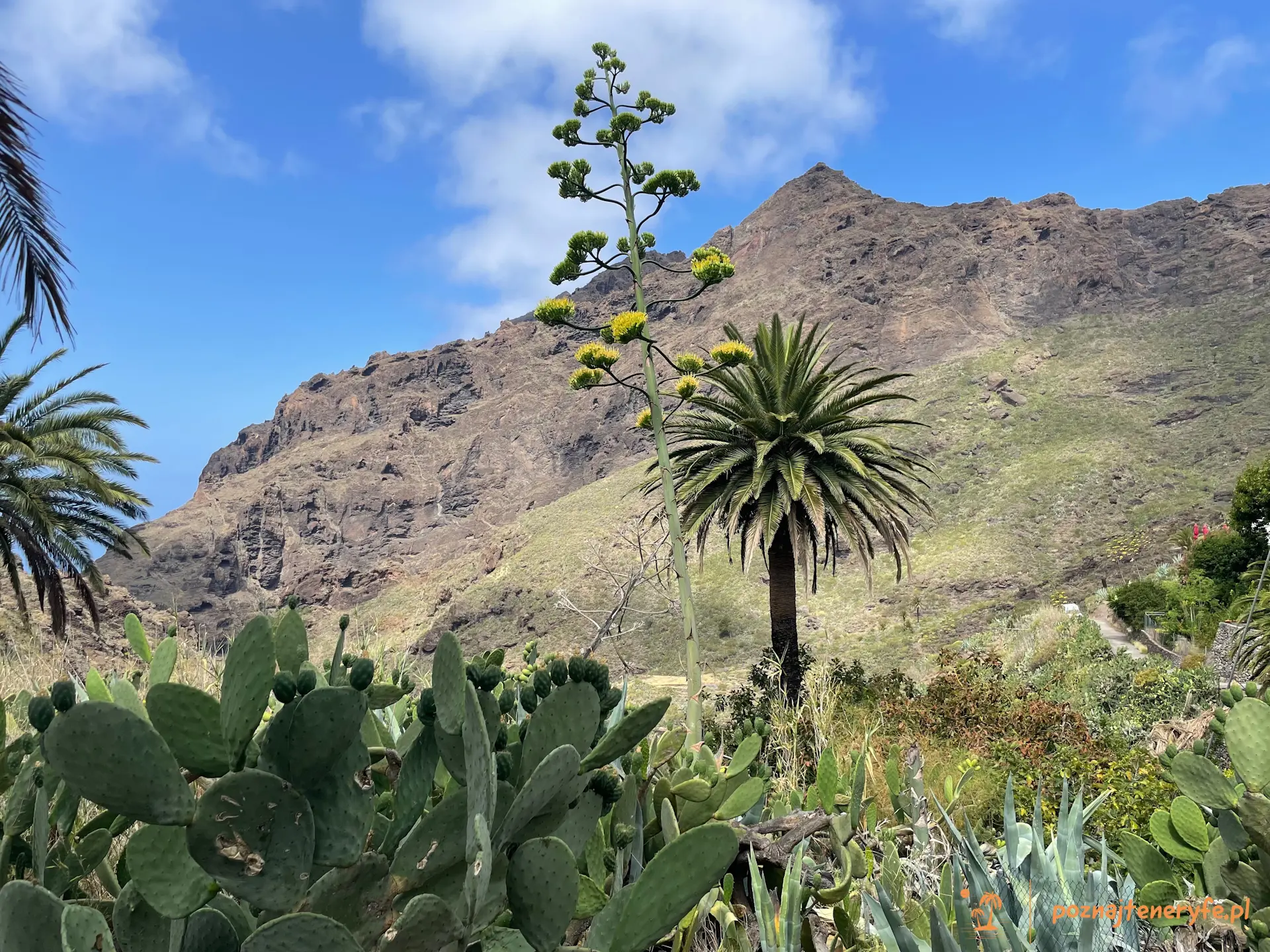 Wioska i wąwóz Masca