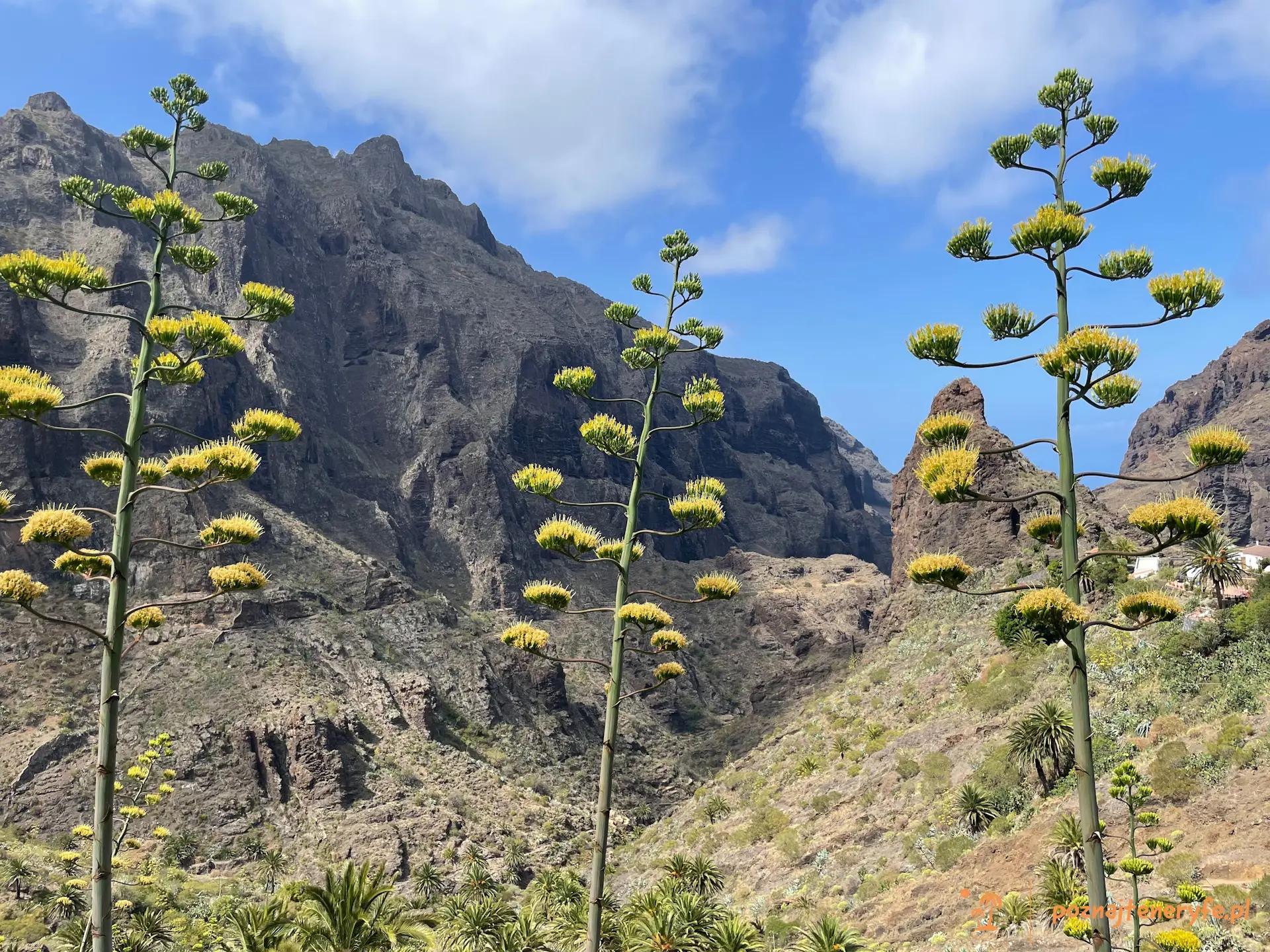Wioska i wąwóz Masca