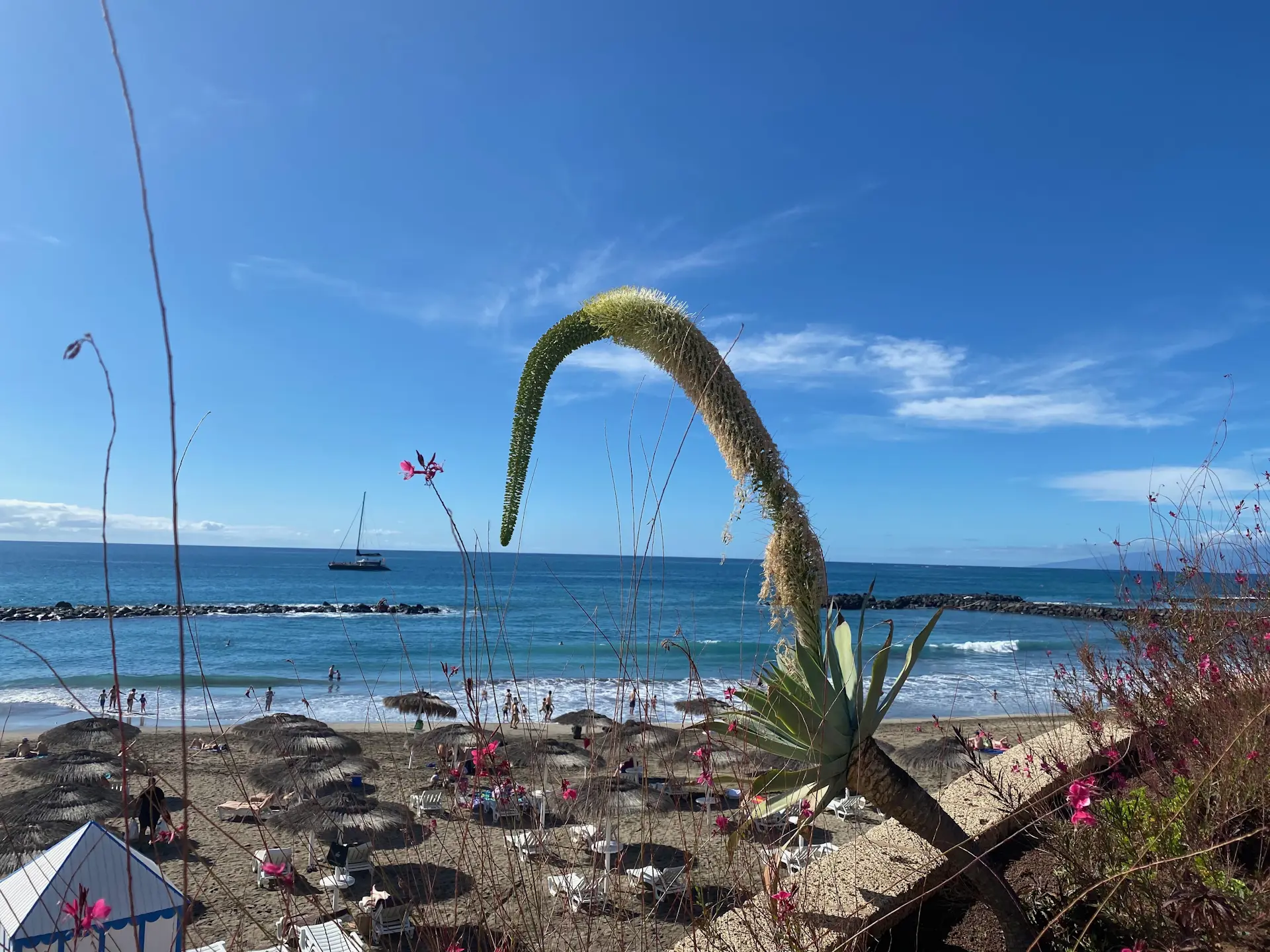 Costa Adeje - El Duque