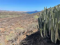 Costa del Silencio - Golf del Sur - Los Abrigos