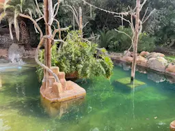 Jungle Park - unikalna ostoja dzikiej przyrody