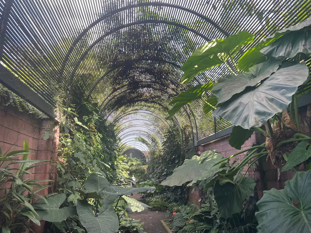 Jardín Botánico