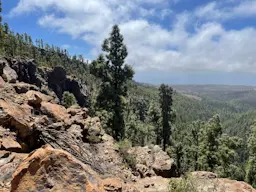 Vilaflor - Montaña de la Vica - Vilaflor