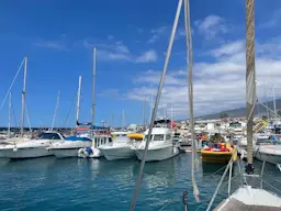 W poszukiwaniu delfinów, wielorybów i żółwi