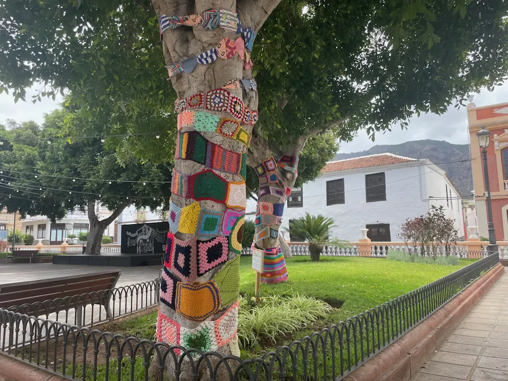 Buenavista del Norte