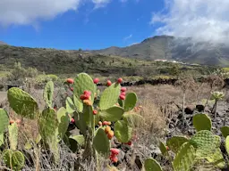 Santiago del Teide - Los Gigantes