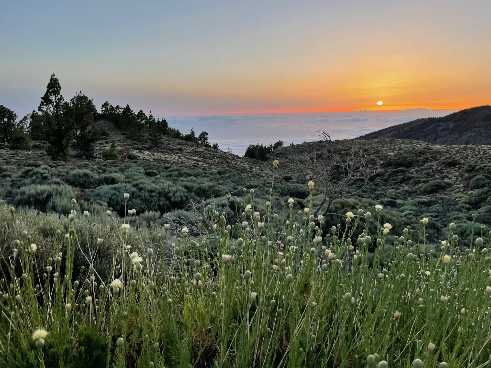 Zachód słońca pod El Teide