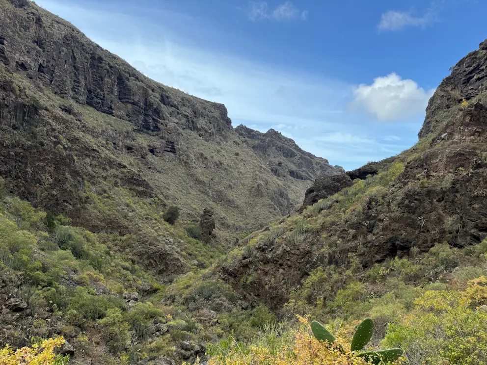 Widok w głąb wąwozu