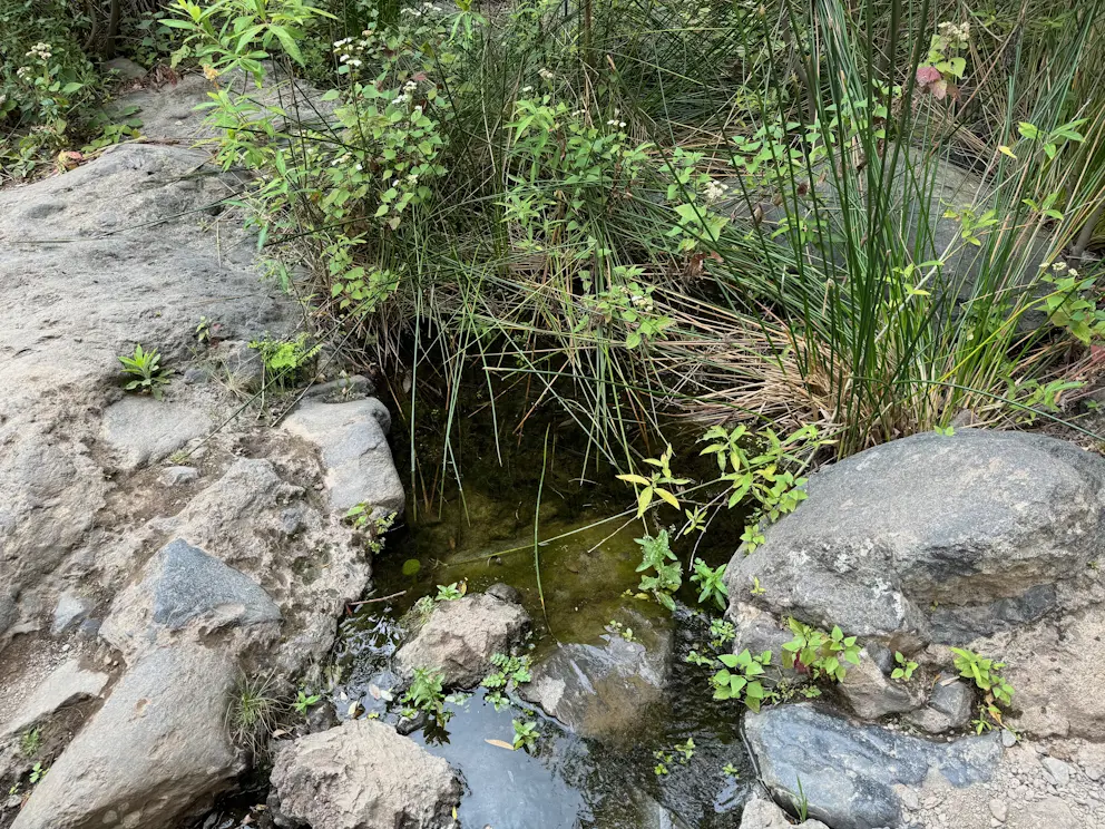 Strumień w wąwozie