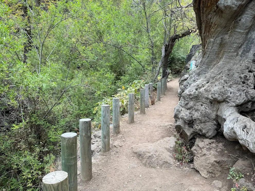 Ścieżka przy Antiguo Castaño