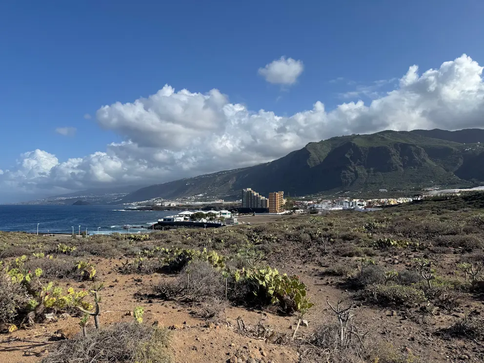 Buenavista del Norte - Los Silos