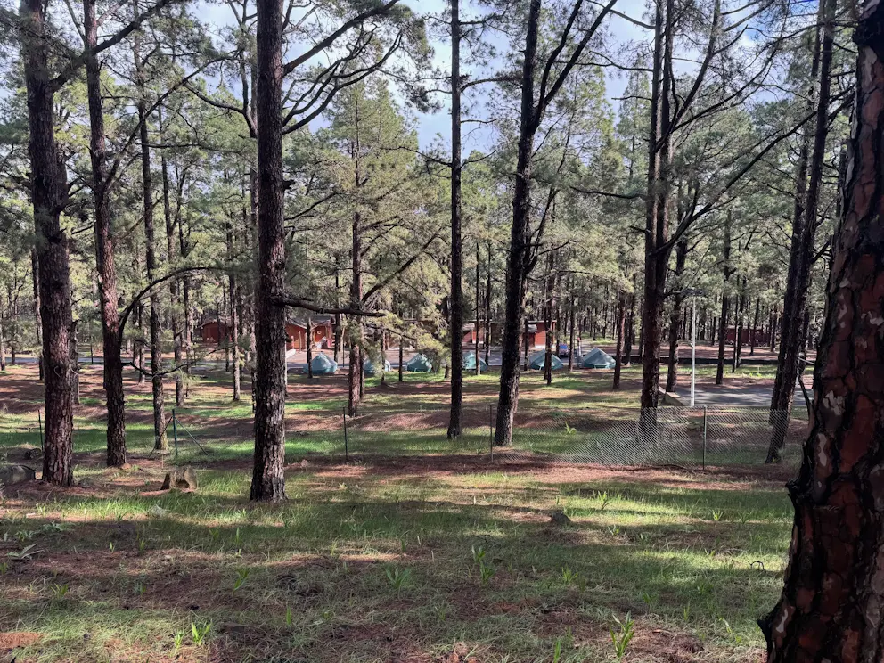 Circular Las Raíces