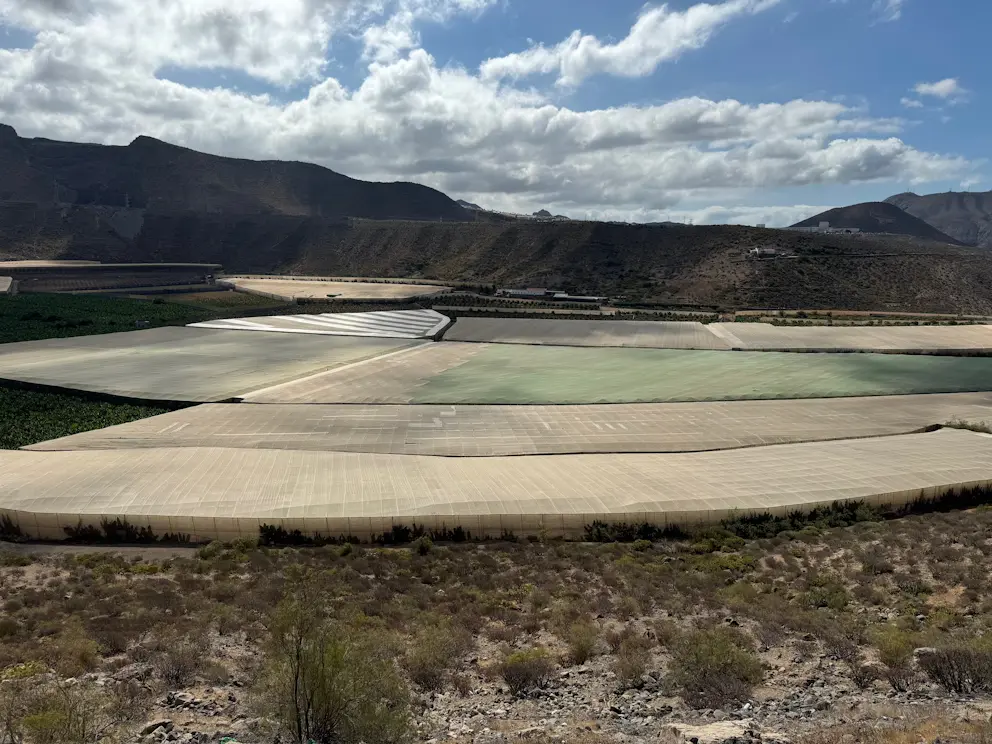 Costa Adeje - Caldera del Rey - Los Cristianos