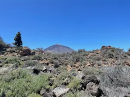 La Orotava - Park Narodowy Teide - Guía de Isora