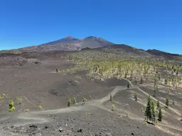 Mirador de Samara - Montaña de la Cruz de Tea - Mirador de Samara