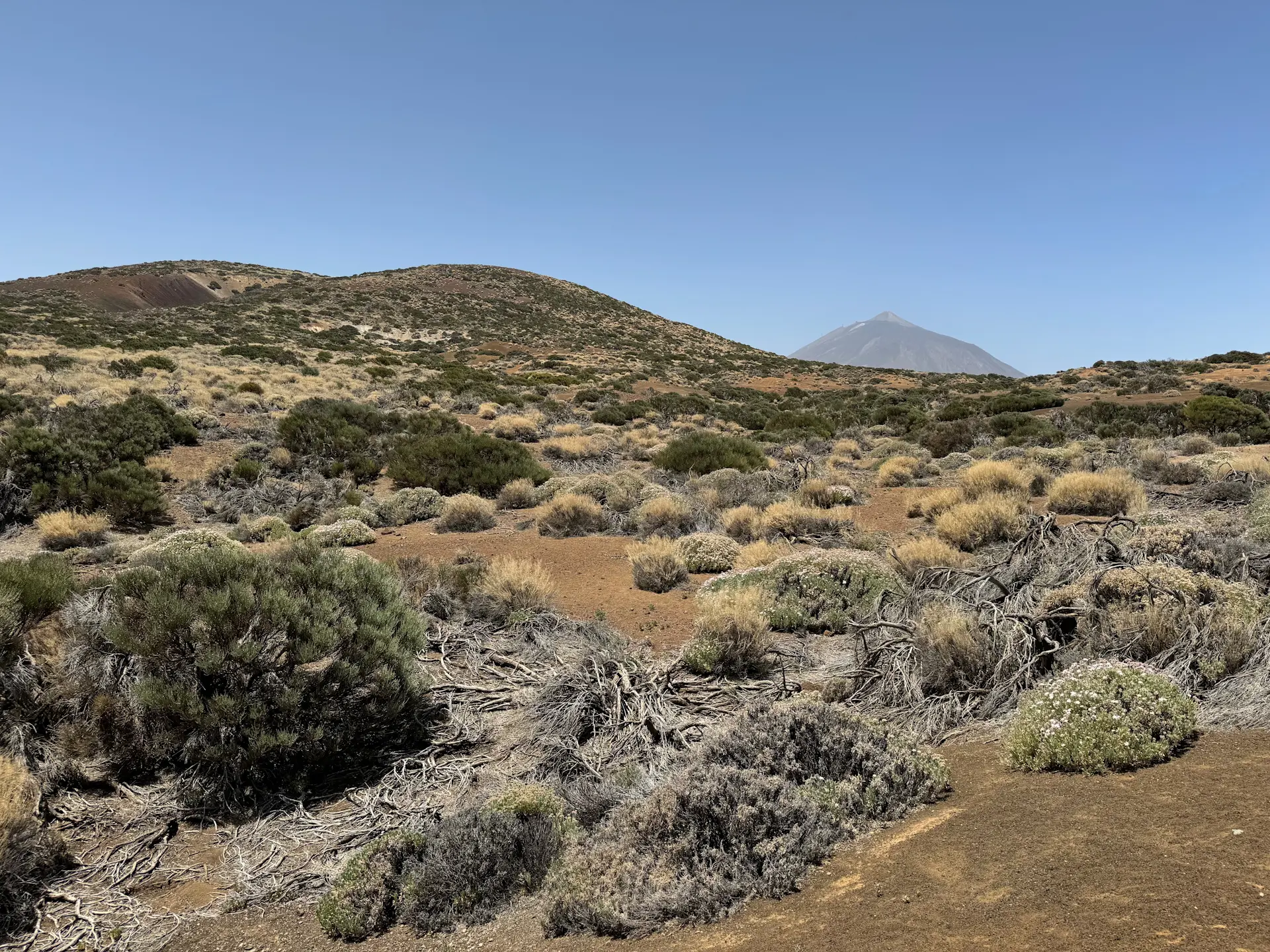 Mirador del Corral del Niño - Volcán de Fasnia - Mirador del Corral del Niño