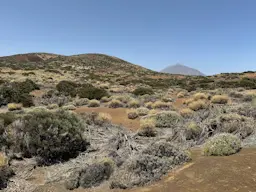 Mirador del Corral del Niño - Volcán de Fasnia - Mirador del Corral del Niño