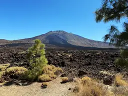 Narices del Teide - Torre de Incendios de Chavao