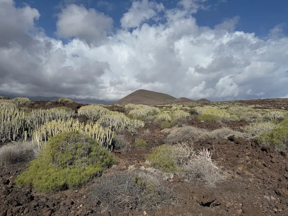 Malpaís de Güímar