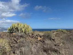 Puertito de Güímar - El Socorro - Puertito de Güímar