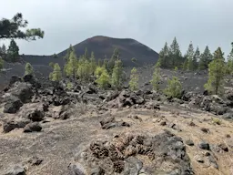 San José de Los Llanos - Chinyero - San José de Los Llanos