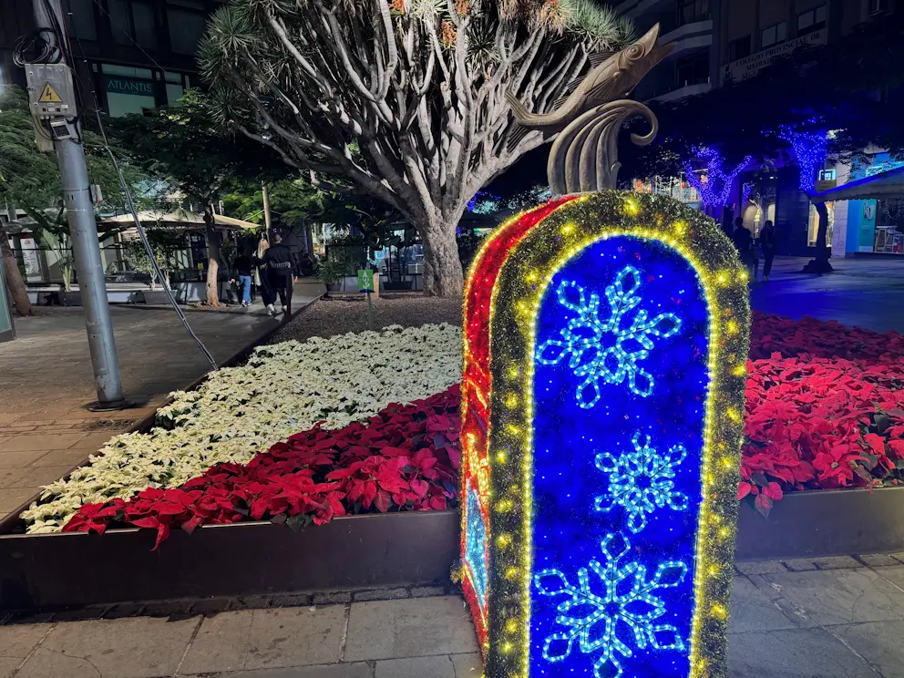 Santa Cruz de Tenerife