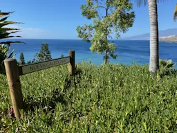 Santa Cruz - Palmetum