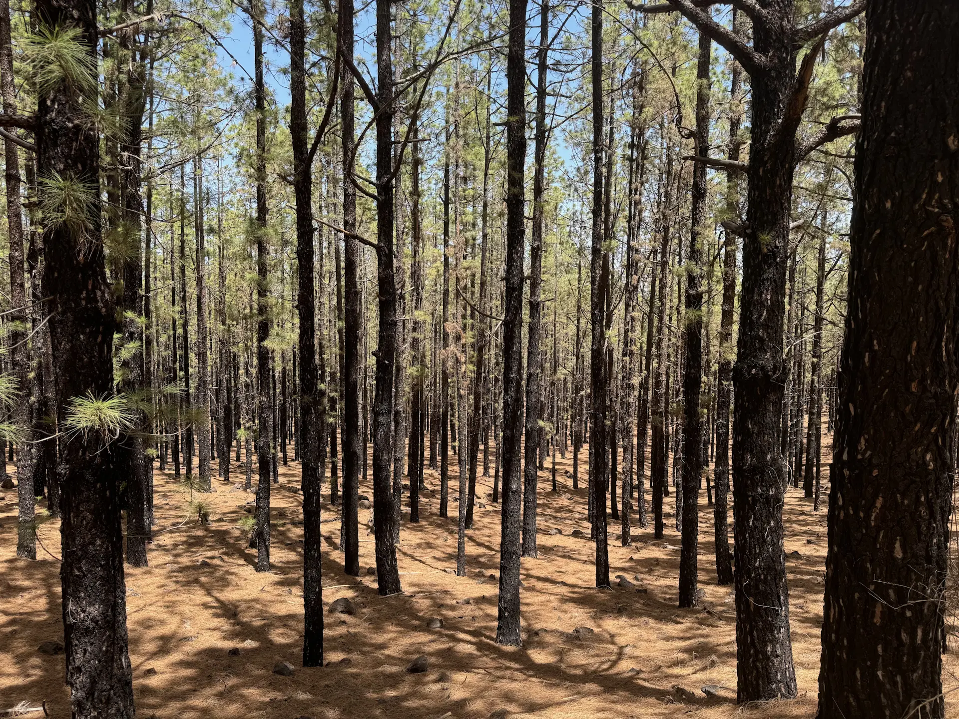 Valle de Arriba - Montaña de la Cruz - Valle de Arriba