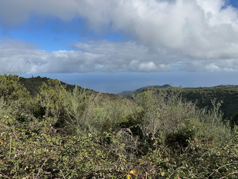 Panorama ze szlaku w kierunku oceanu