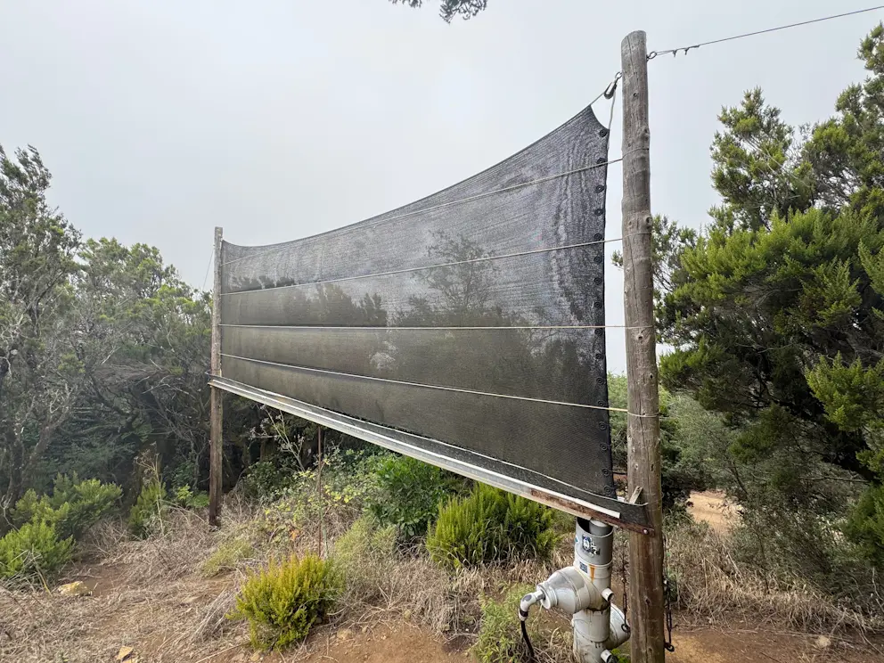 Łapacz mgły na Cumbre Bolico