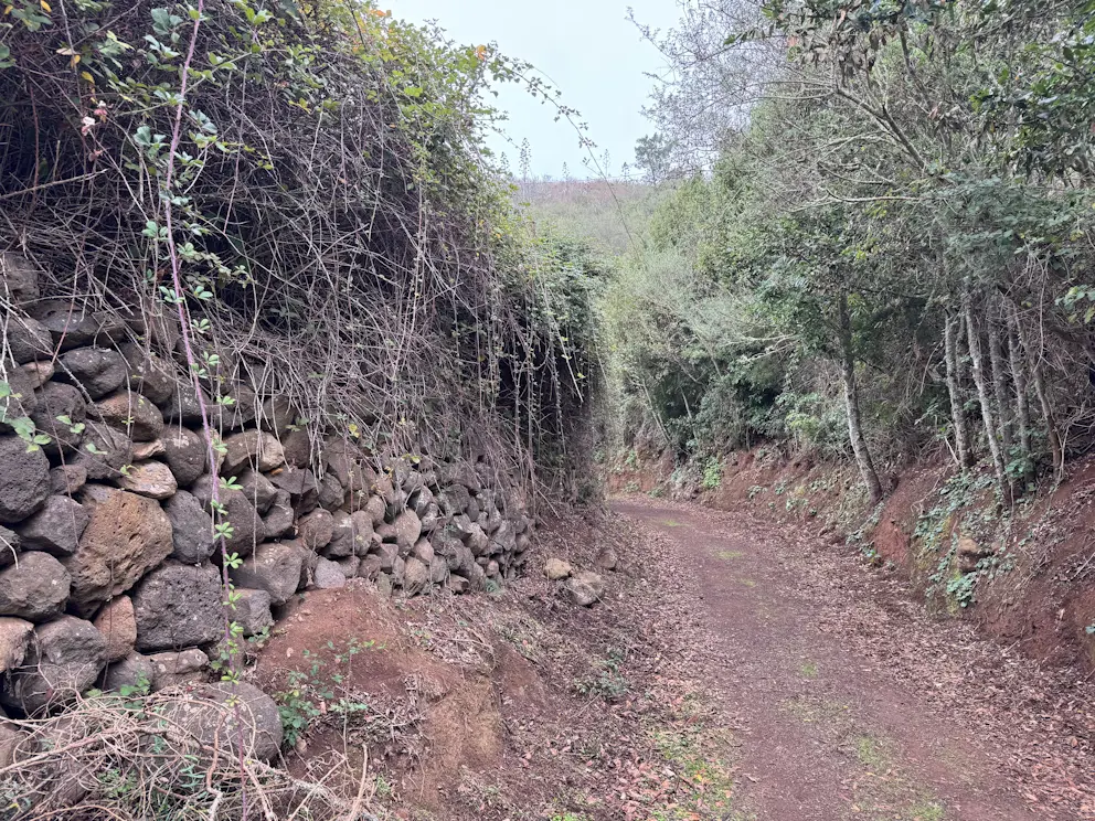 Wiejska droga z kamiennym murkiem