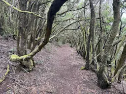Erjos - Monte del Agua - Cumbre Bolico - Erjos