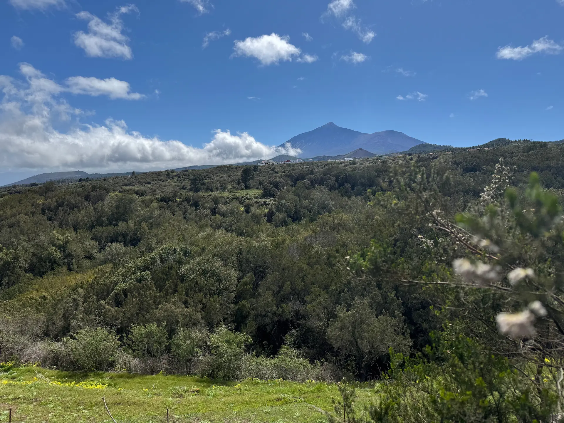 Erjos - Ruigómez - Erjos