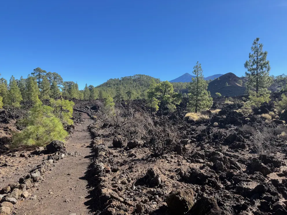Początek trasy przez pole lawowe