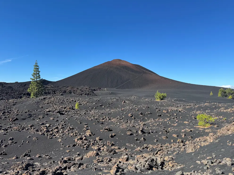 Stożek Chinyero z pól lawowych