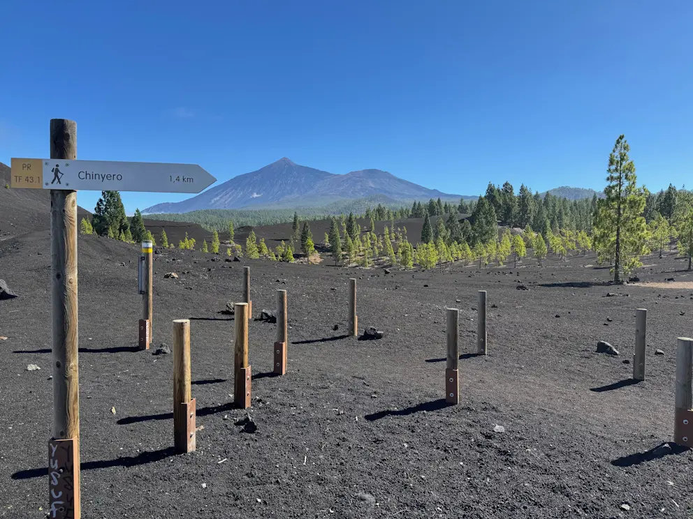 Panorama na stożki wulkaniczne i El Teide