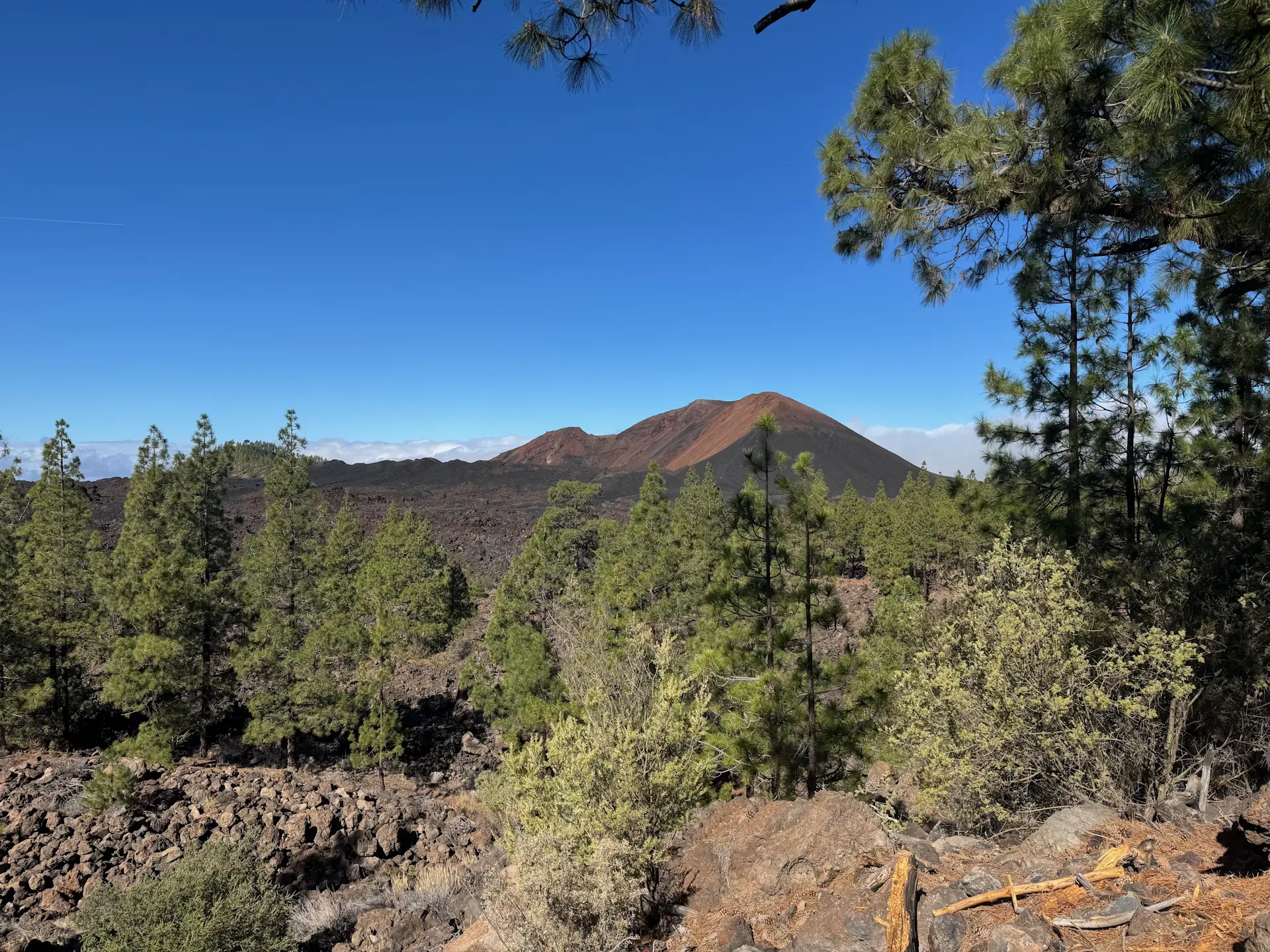 Mirador de los Poleos - Chinyero - Montaña Negra