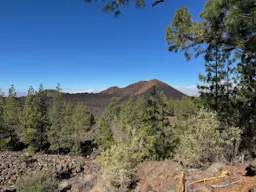 Mirador de los Poleos - Chinyero - Montaña Negra
