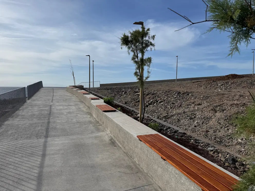 Deptak z drewnianymi ławkami i nasadzeniami