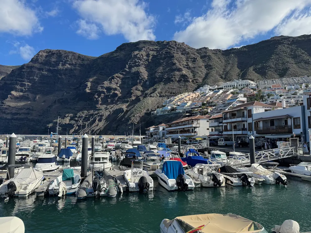 Port Los Gigantes z restauracjami przy nabrzeżu i klifami w tle