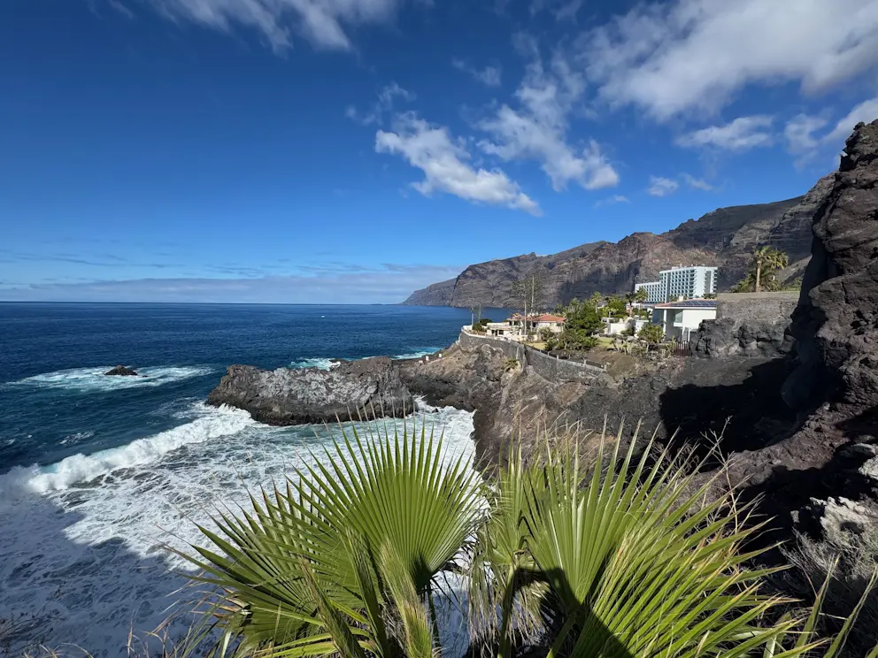 Skaliste wybrzeże z palmami i widokiem na klify