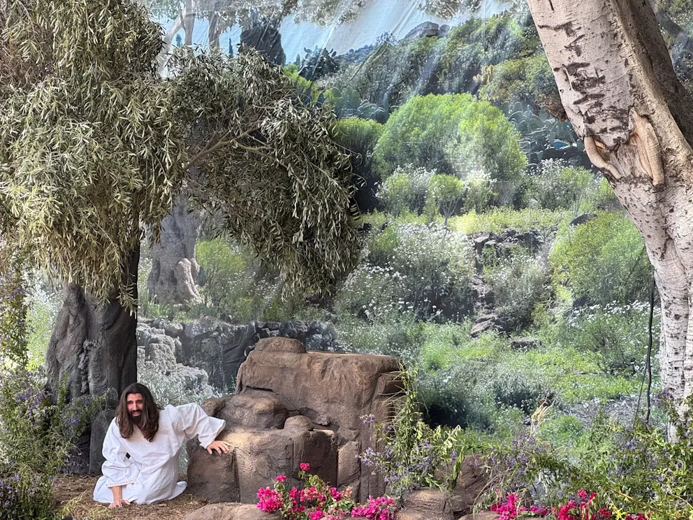 Jezus modlący się w Ogrójcu