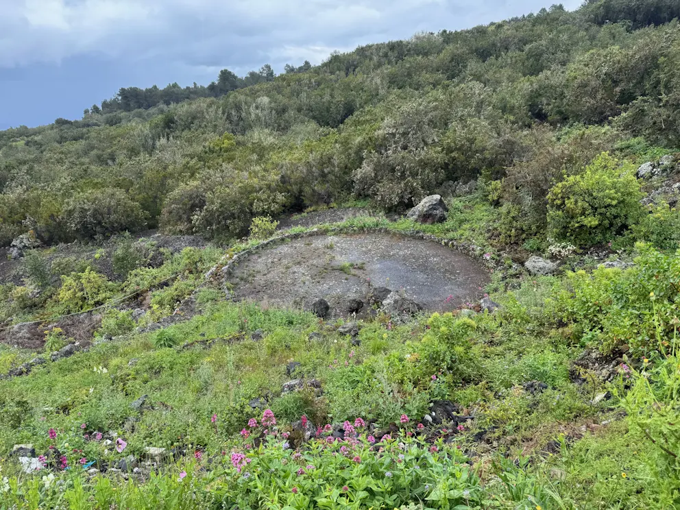 Tradycyjna młockarnia